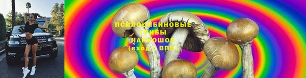 первитин Переславль-Залесский