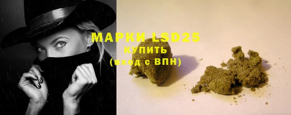 прущий лед Пересвет